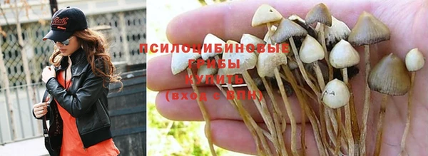 спиды Дмитриев