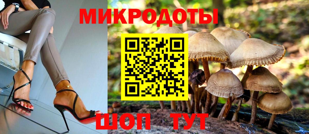 Псилоцибиновые грибы Psilocybe  Галлюциногенные грибы Cubensis  Междуреченск  Вход с VPN 