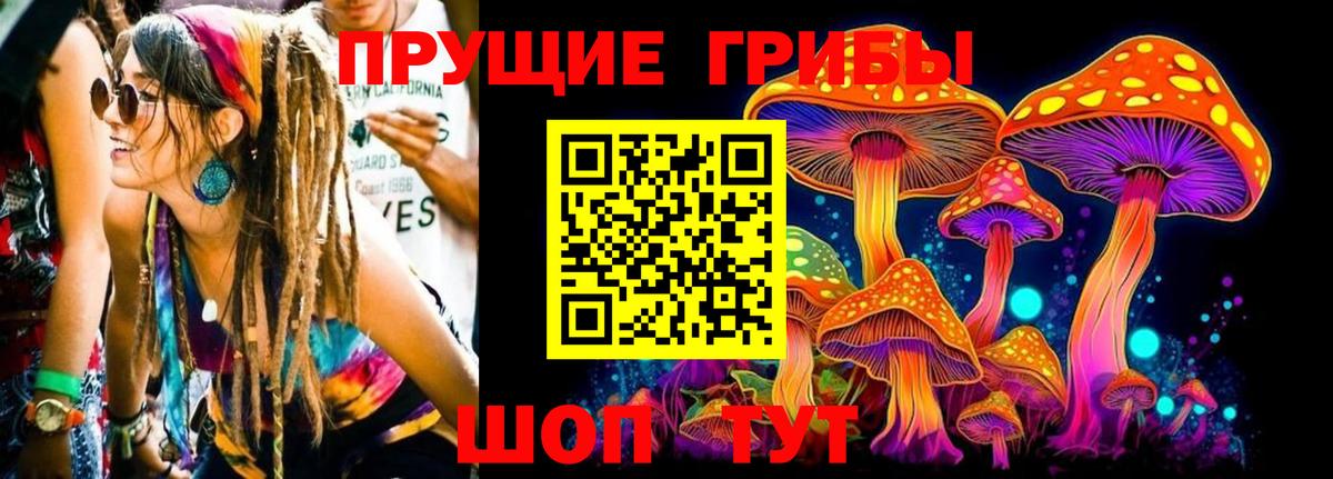 Галлюциногенные грибы GOLDEN TEACHER  Псилоцибиновые грибы Magic Shrooms  Междуреченск 